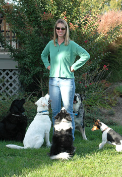 Mirga and a group of well-behaved dogs